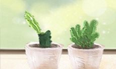 全方位揭秘：双鱼座如何打造独特家居装修风格