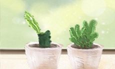 探究处女座家居装修style的神秘之处:揭露这个星座的内在需求和喜好!