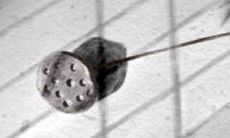 如何在生活中,让你的白羊座更加耀眼夺目,散发更多的光芒?