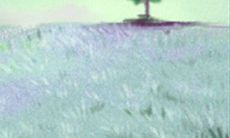 哪些环境会让巨蟹座内心燃起欲望之火?