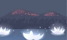 金牛座的底线是什么?哪些行为最不可容忍?