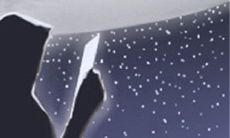 双鱼座2015年如何结束孤独的日子?如何消除孤单感?