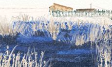 双鱼座是否能够容纳恋人曾经的经历和过去,挑战情感人格的承受极限?