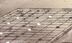 婚后变形记：揭秘射手座女生从自由奔放到成长与妥协的蜕变历程