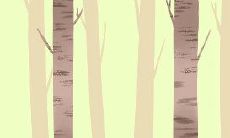 揭露天蝎座撒谎的纤毫毕现：揭秘天蝎座撒谎技巧中的破绽和脆弱点