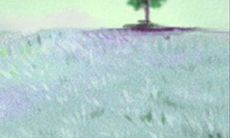 水瓶座的最擅长的技能和特长是什么？