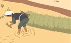 针对烦恼,天秤座该如何应对才能缓解情绪呢?