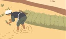 如何让身为白羊座的人应对困难和痛苦?