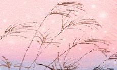 为什么每个12星座都有可能因其特有的性格而扭曲?