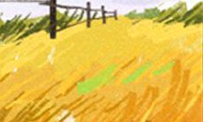 详细解析：从浪漫自信到独立果敢——深度剖析12星座女生的独特性格特质