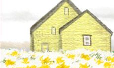 如何让水瓶座的学生成功迎接高考挑战？