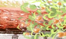 双子座的童心指数有多高?测验揭示出他们内心深处的童真程度