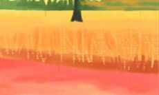 哪个星座应当在交往狮子座时提高警惕?