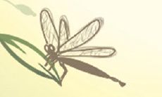 揭秘水瓶座同情心指数高达爆表的不为人知秘密