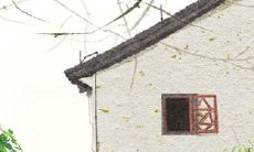 水瓶座惊遇恋人背叛后面临的决策抉择