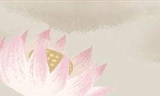 养成一个无可挑剔的白羊座最佳老公:从品格养成到情感沟通一应俱全的完美计划