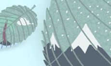 如何在凉秋季节为摩羯座的卧房选择最合适的墙纸？