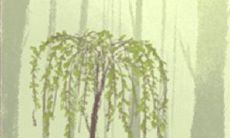 揭开天秤座独特孤独的面纱：探讨为何他们需要更多的自我疗愈和社交平衡来摆脱孤独感