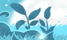 射手座会通过哪些步骤和标准来选择自己心仪的月饼呢?