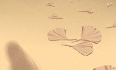 天秤座的恋人:如何运用心灵沟通、温柔沟通和有效沟通技巧,挽回失去的爱情并保持长久关系?