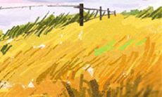 狮子座的爱情调制指南：如何优雅地烹制浪漫，调和感情的烈火与温暖？