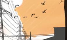 金牛座职业病的治疗方法:如何摆脱工作压力,提升工作幸福感,让你的职业生涯更为健康成功?