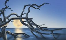 夏日里,为射手座爸爸推荐合适的汽车——完整选车指南