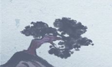 探索射手座人生旅途:揭秘这个星座的生活方式与余生经历