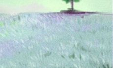 如何对天秤座新妈进行有效的职场重新融入?探讨职必得技能和相应策略