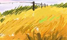 射手座的性格特点是否意味着他们更倾向于出国体验生活?