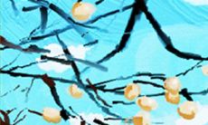 深入分析金牛座的心理学效应,探讨其影响因素及实际表现