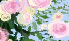 哪些星座会成为狮子座最容易爱上的对象?