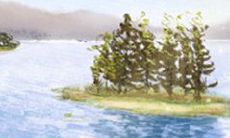 揭秘双鱼座的神秘面：十大你不知道的双鱼座特质和秘密