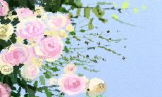 双鱼座女性的独特着装风格:浪漫、梦幻与艺术的完美结合