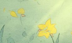 金牛座的生活质量为何受到折扣?原因是什么?