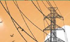 金牛座应该采取哪些措施来应对当前极端严重的雾霾环境？