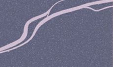 双鱼座在2015年是如何获得财富的？探究其成功的原因及经历