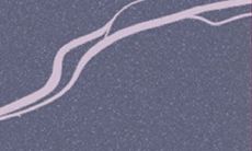 What Were the Reasonable Causes for the Financial Prosperity of Aries in 2015?