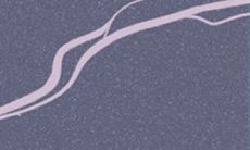 在2015年,为何摩羯座会获得财富的成功经历?