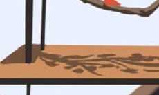 狮子座的浪漫圣诞节：狮子宝宝们如何以他们天生的光彩和魅力，在这个令人难忘的假期中创造出令人心醉的浪漫氛围？