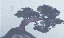 经验与时间：白羊座男生在成熟度方面的探究