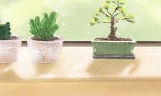 深度解析狮子座的生活压力并提供实用的星座减压方法