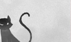 提升双子座女生减肥效果的最佳方法:根据个性化特点量身定制的双子座MM最适合的减肥计划