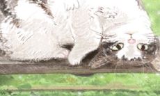 天蝎座人的第一次接吻经历是怎样的?