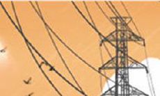 有关巨蟹座睡前享受的偏好和习惯有哪些?