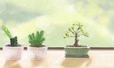 水瓶座的心灵受到微妙温暖的启迪:探寻那些令人感触颇深的瞬间