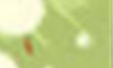 用几个小技巧来追求双鱼座女性