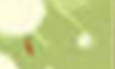 在追求天蝎女的过程中，可以尝试的十大小技巧和注意事项