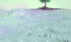 探索 摩羯座的爱情中的情感“温度计”:从“冷”到“热”的测量