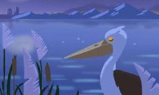 双子座独享的美国著名大学：最适合这个星座的教育机构